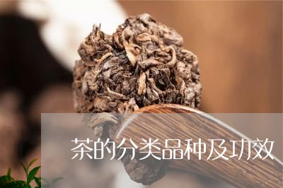 茶的分类品种及功效/2023032117179