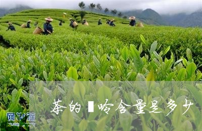 茶的嘌呤含量是多少/2023032138503