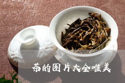 茶的图片大全唯美/2023032481736