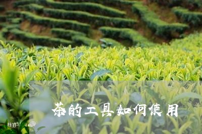 茶的工具如何使用/2023032421515