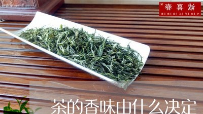 茶的香味由什么决定/2023032189571