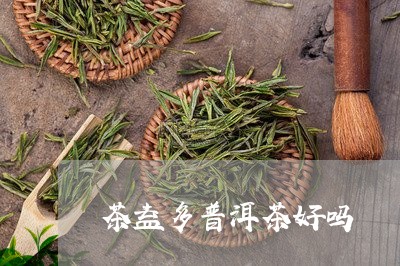 茶益多普洱茶好吗/2023041251583