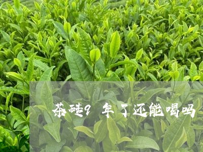 茶砖9年了还能喝吗/2023032074260