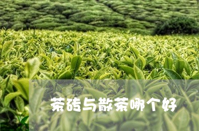 茶砖与散茶哪个好/2023032459492