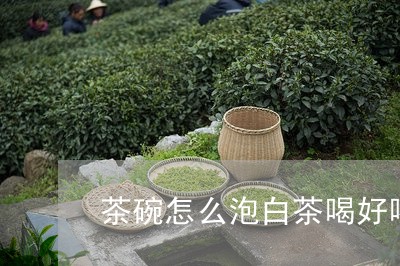 茶碗怎么泡白茶喝好喝呢/2023032771617