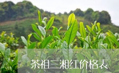 茶祖三湘红价格表/2023032412827