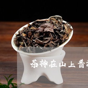 茶神在山上普洱茶/2023041125036