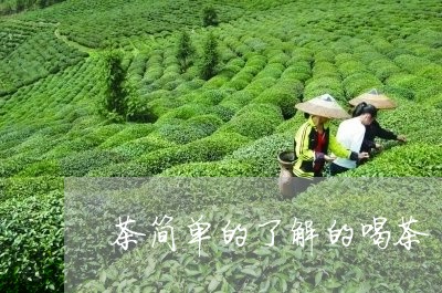 茶简单的了解的喝茶/2023041618369