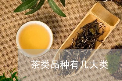 茶类品种有几大类/2023032494935