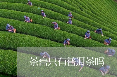 茶膏只有普洱茶吗/2023031663824