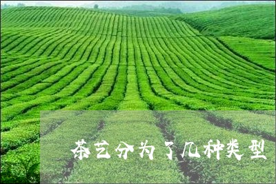 茶艺分为了几种类型/2023041741641