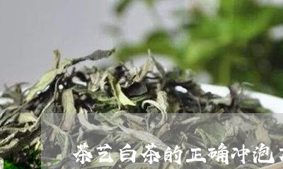 茶艺白茶的正确冲泡方法/2023032730382