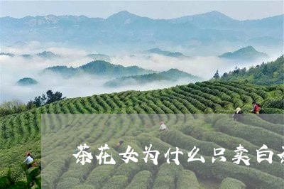 茶花女为什么只卖白茶花/2023032787482