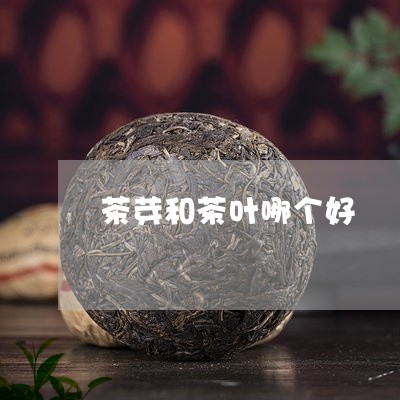 茶芽和茶叶哪个好/2023032634360