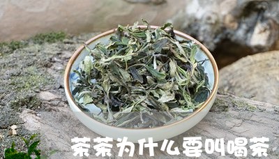 茶茶为什么要叫喝茶/2023041675038