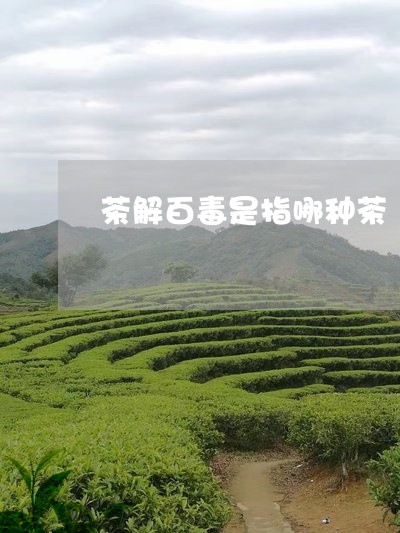 茶解百毒是指哪种茶/2023031807372