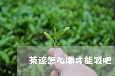 茶该怎么喝才能减肥/2023031821838