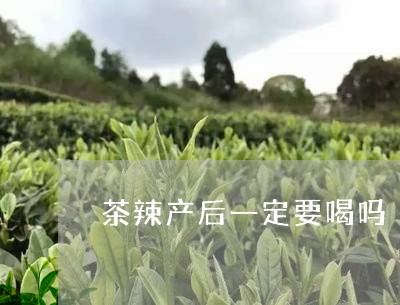 茶辣产后一定要喝吗/2023031889373