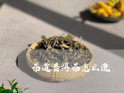 茶道普洱茶怎么洗/2023041014239