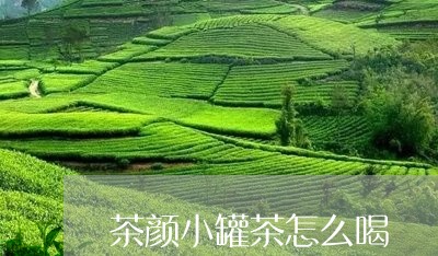 茶颜小罐茶怎么喝/2023032296462