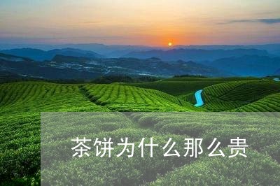 茶饼为什么那么贵/2023032455026