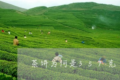 茶饼为何是357克/2023041684928