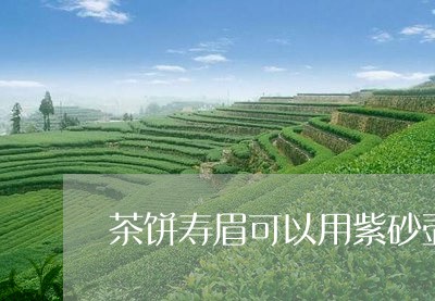 茶饼寿眉可以用紫砂壶吗/2023032750292