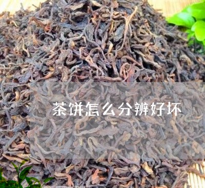 茶饼怎么分辨好坏/2023031887251