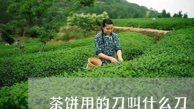 茶饼用的刀叫什么刀/2023041604159