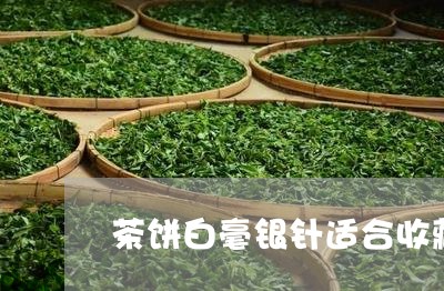 茶饼白毫银针适合收藏吗/2023032827058