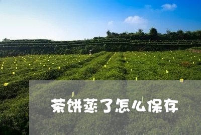 茶饼蒸了怎么保存/2023032456948