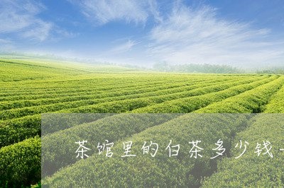 茶馆里的白茶多少钱一壶/2023032824269