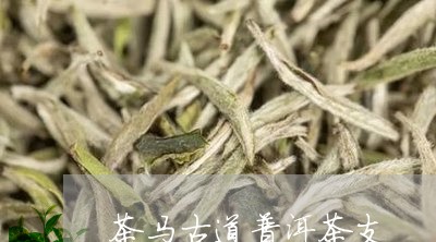 茶马古道普洱茶支/2023031630793