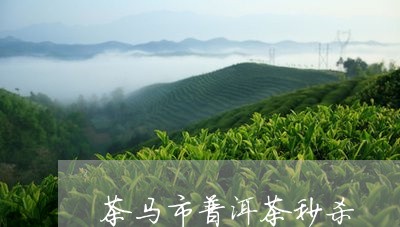 茶马市普洱茶秒杀/2023041237592