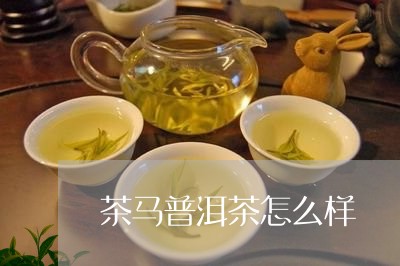 茶马普洱茶怎么样/2023041334846