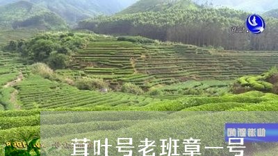 茸叶号老班章一号/2023032938492