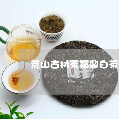 荒山古树茶福鼎白茶茶饼/2023032868204