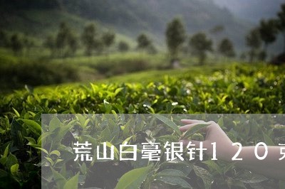 荒山白毫银针120克价钱/2023033094059