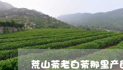 荒山茶老白茶那里产的好/2023032887161