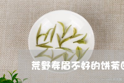 荒野寿眉不好的饼茶图片/2023032835268