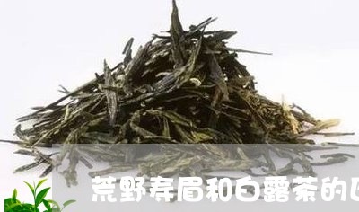 荒野寿眉和白露茶的区别/2023032842815