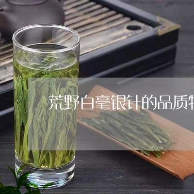 荒野白毫银针的品质特征/2023032852725