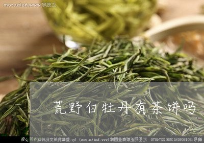 荒野白牡丹有茶饼吗/2023032014939