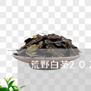 荒野白茶2021冲泡比例/2023033088260