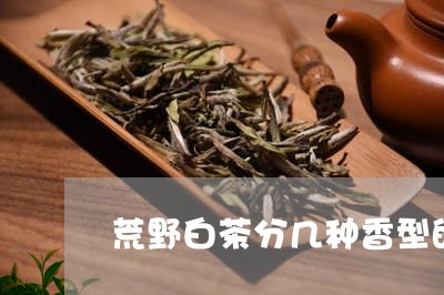 荒野白茶分几种香型的茶/2023032882139