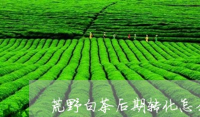 荒野白茶后期转化怎么样/2023032884170