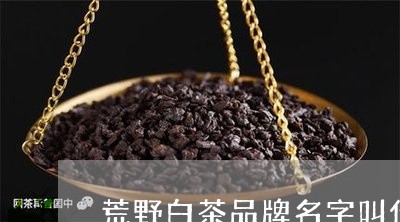 荒野白茶品牌名字叫什么/2023032837360