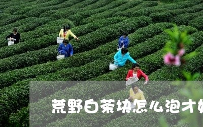 荒野白茶块怎么泡才好喝/2023032889402