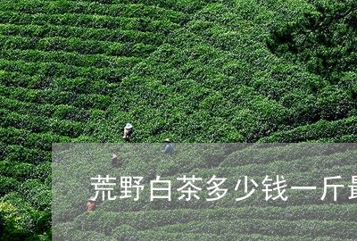 荒野白茶多少钱一斤最新/2023032865048