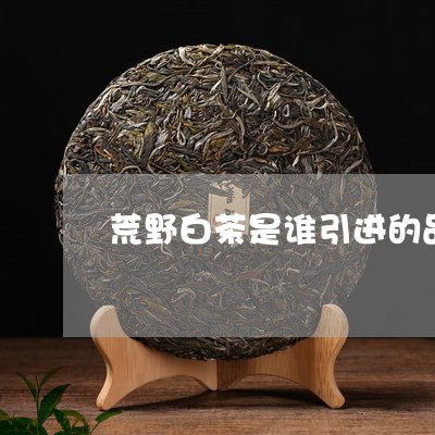 荒野白茶是谁引进的品牌/2023032840614